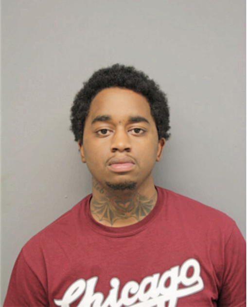 CALEB N WHITE, Cook County, Illinois