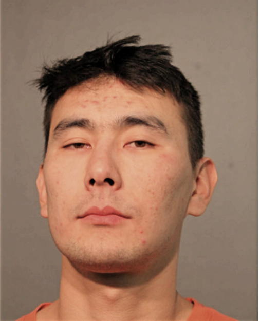 DAIYRBEK ADYRBEKULY, Cook County, Illinois
