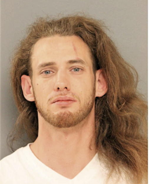 JOSHUA ALLEN BEARDEN, Cook County, Illinois