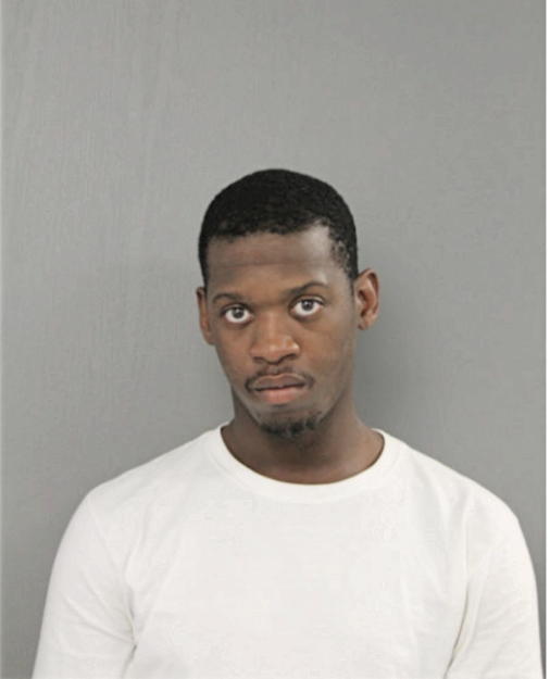 PAUL M BRIDGES, Cook County, Illinois