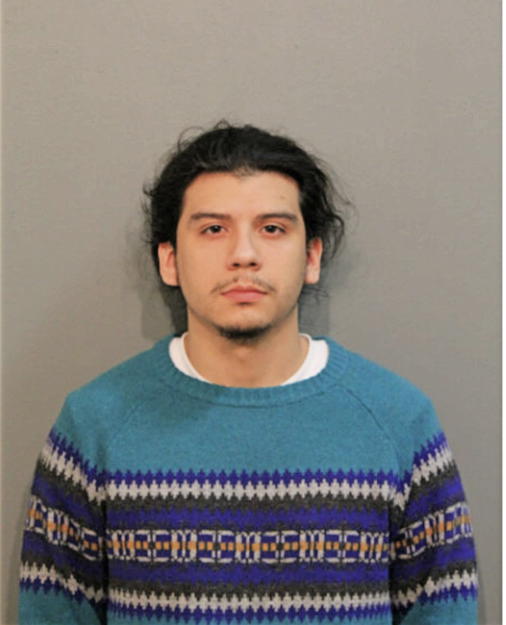 ROSBEL JR BRISENO, Cook County, Illinois
