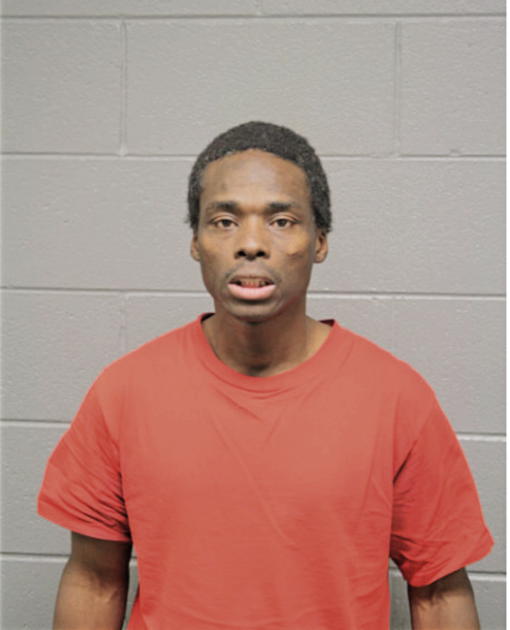 CHRISTOPHER L BROWN, Cook County, Illinois