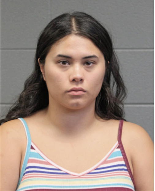 NATALIE V DELATORRE, Cook County, Illinois