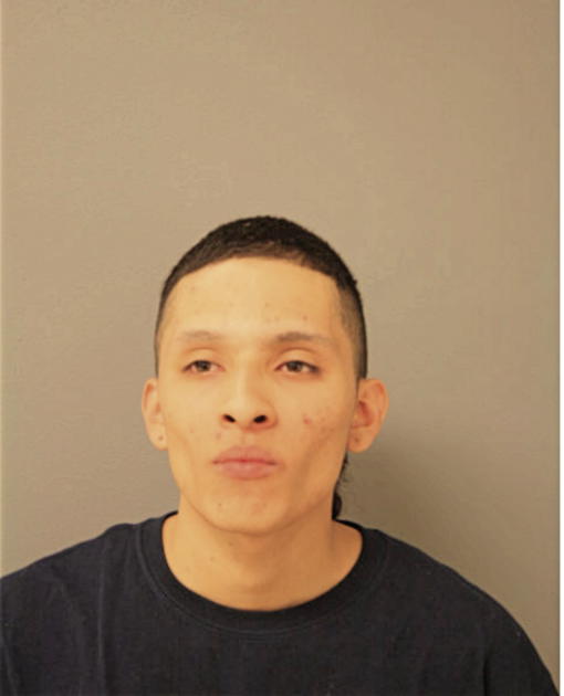 MARVIN FAVELA-MONTELONGO, Cook County, Illinois