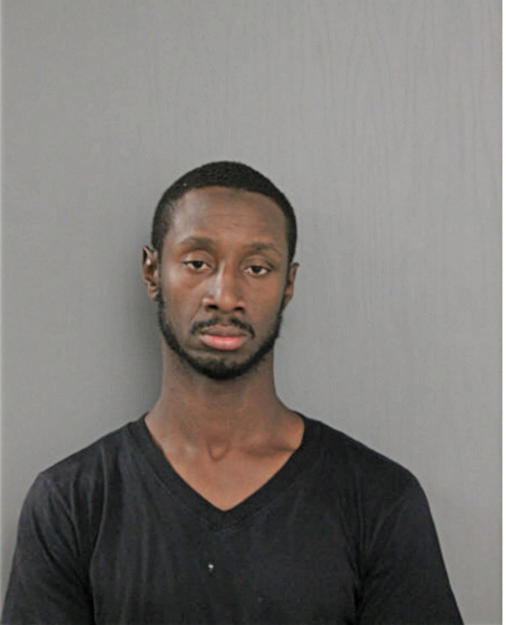 LEWIS G SIMS, Cook County, Illinois