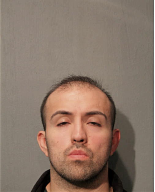 JAVIER GONZALEZ, Cook County, Illinois