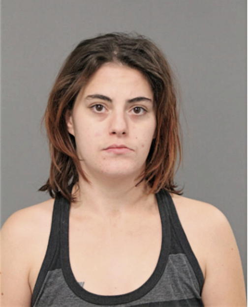 MEGAN N HOBBS, Cook County, Illinois