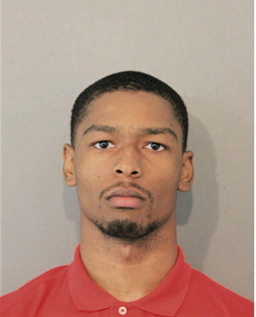 RODNEY J WHITE, Cook County, Illinois