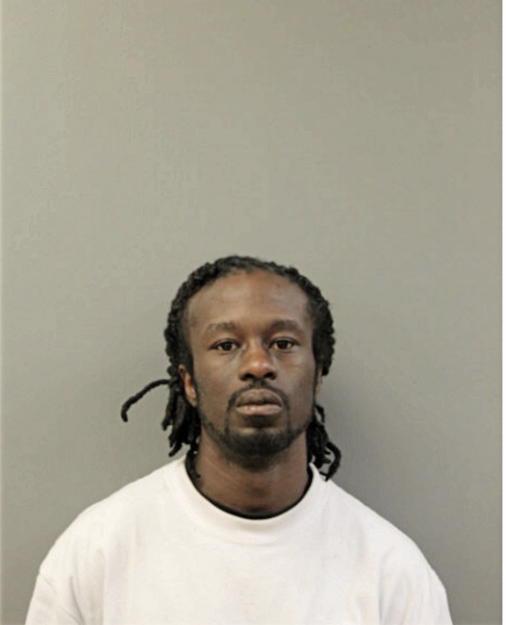TANSANY JOHNSON, Cook County, Illinois