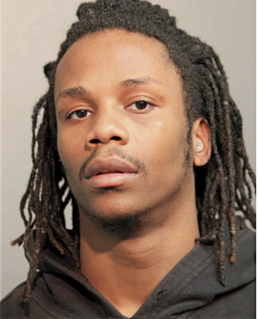 LAVONTE LANE, Cook County, Illinois