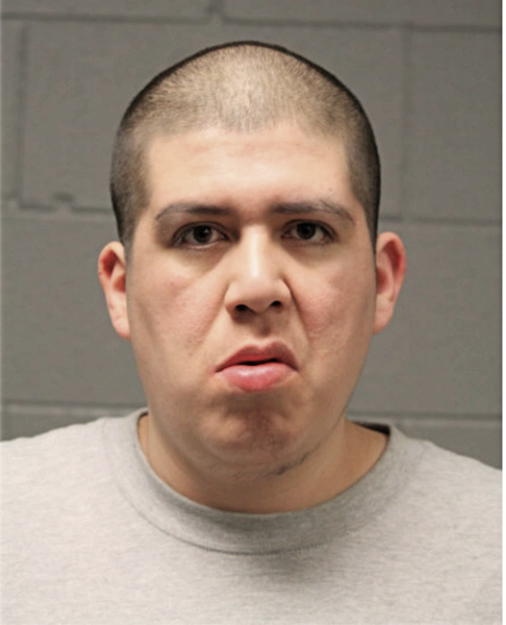 LUIS ERNESTO LOPEZ, Cook County, Illinois