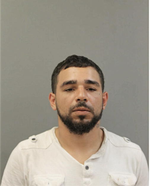 GREGORIO V LOZADA, Cook County, Illinois
