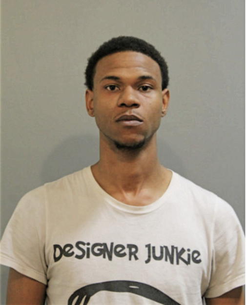 DAVID S LYONS, Cook County, Illinois