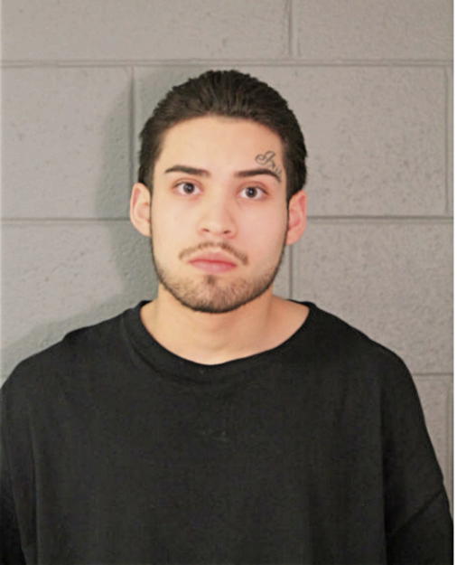 JOSE M GUZMAN, Cook County, Illinois