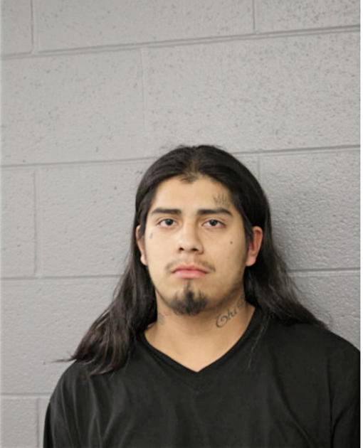 DOMINGO MENDOZA, Cook County, Illinois