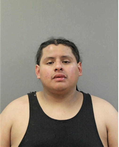MIGUEL MENDOZA, Cook County, Illinois