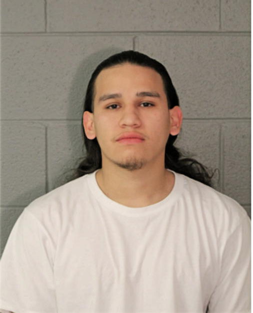 ALEXIS MEZA, Cook County, Illinois
