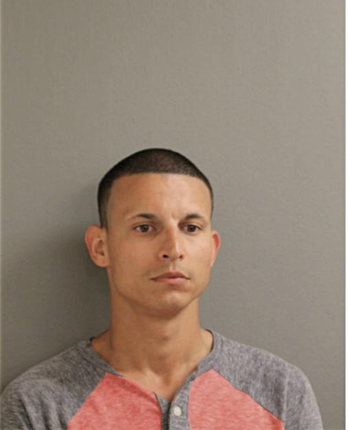 LUIS D MORALES, Cook County, Illinois
