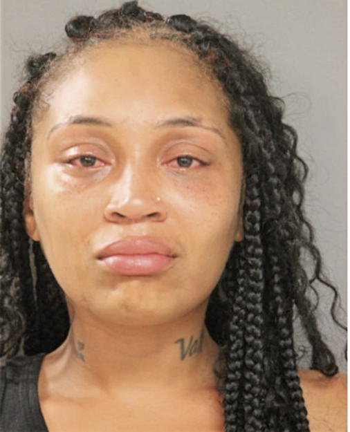 VANEE J NEWSOME, Cook County, Illinois
