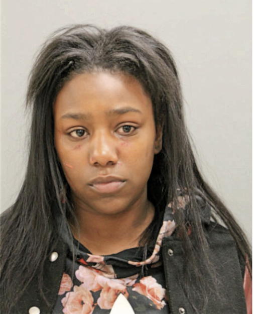 AMINAT J OSIBOTE, Cook County, Illinois