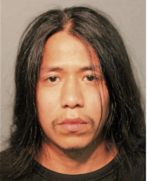 FERNANDO PINEDA, Cook County, Illinois