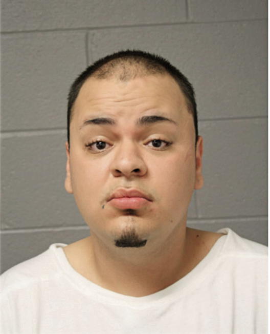 MARCO A PULIDO-CIARDULLO, Cook County, Illinois