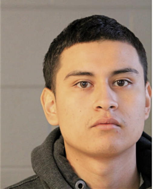 AGUSTIN RUIZ, Cook County, Illinois