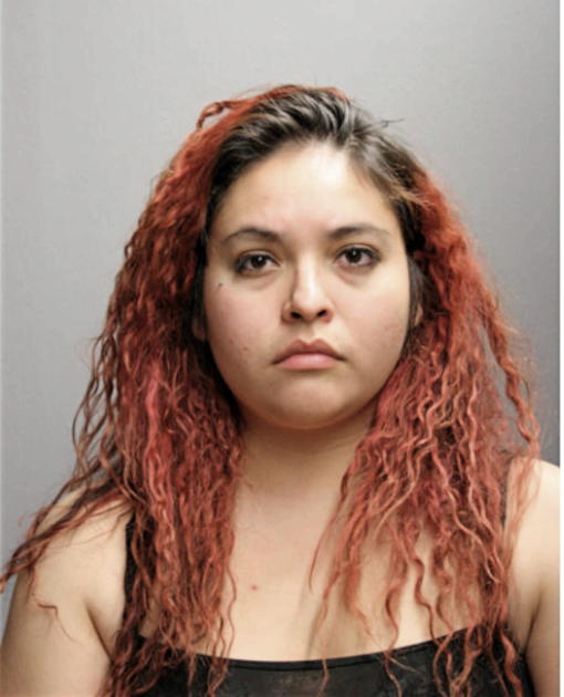 MARIA E SOSA ALATORRE, Cook County, Illinois