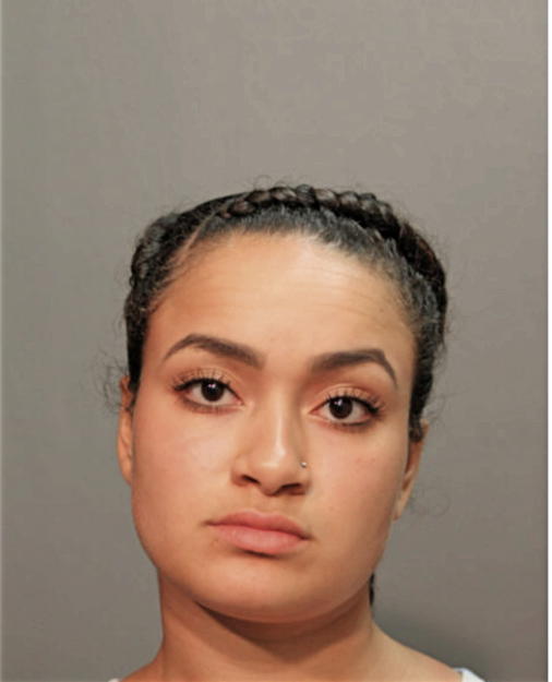 JANELLE VILLARINI, Cook County, Illinois