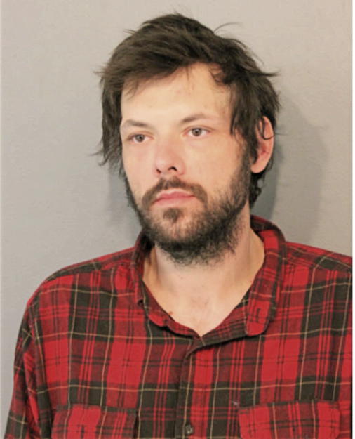 CALEB P WELLS, Cook County, Illinois