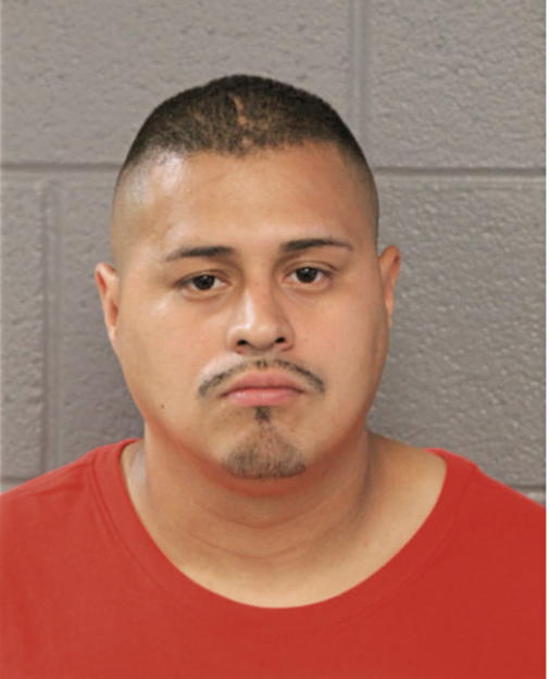 RENE ABEJA, Cook County, Illinois