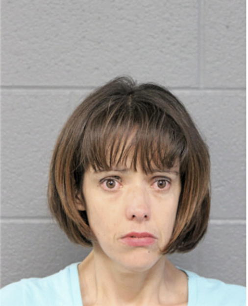 SANDRA V ALVAREZ, Cook County, Illinois