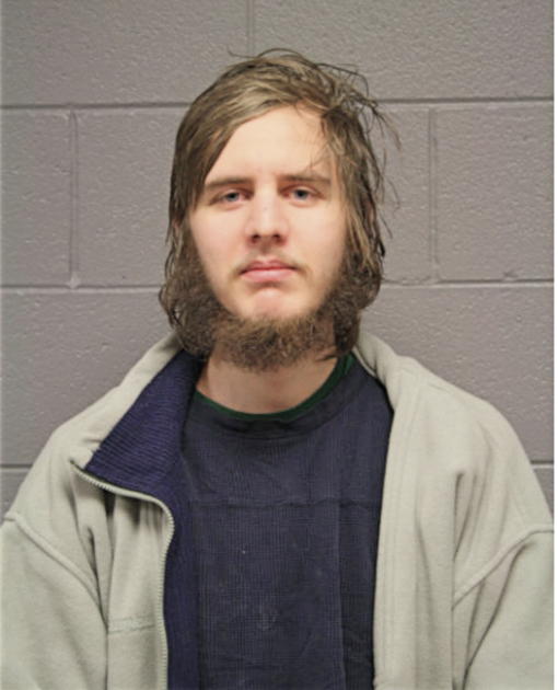 RYAN T ANDERSON, Cook County, Illinois