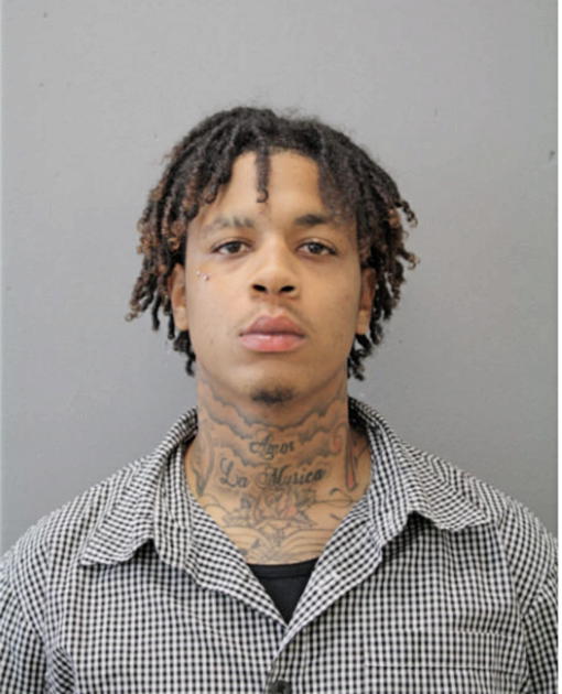 JOSHUA W BOLDEN, Cook County, Illinois