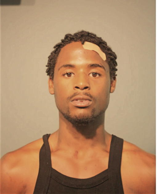 JAMES E BRANDON, Cook County, Illinois