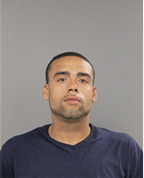 ANDREW J BURNS, Cook County, Illinois