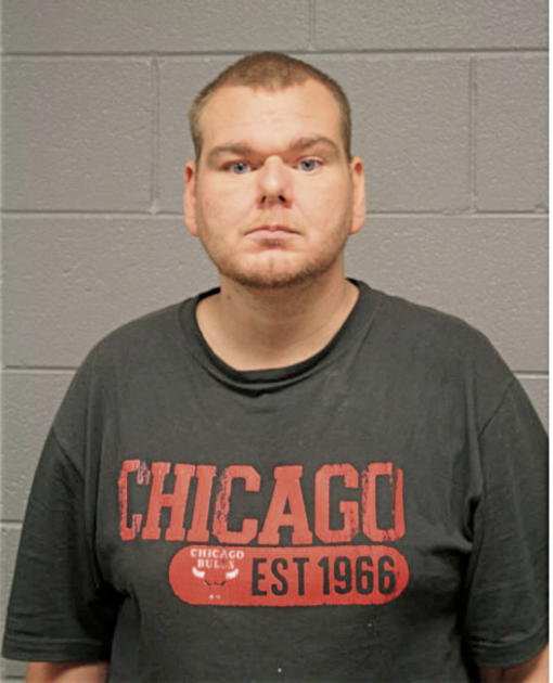 MICHAEL L CELLA, Cook County, Illinois