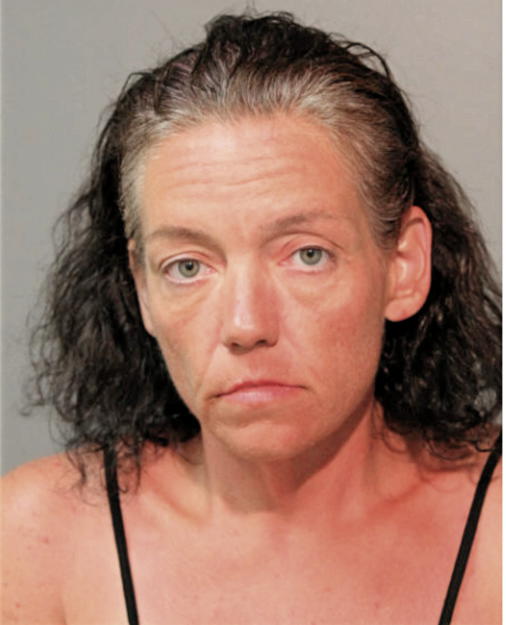 MICHELLE L DEE, Cook County, Illinois