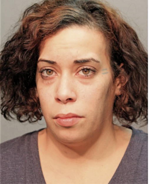MELISSA J DEJESUS, Cook County, Illinois