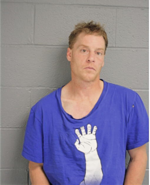 ROBERT J FIEGE, Cook County, Illinois