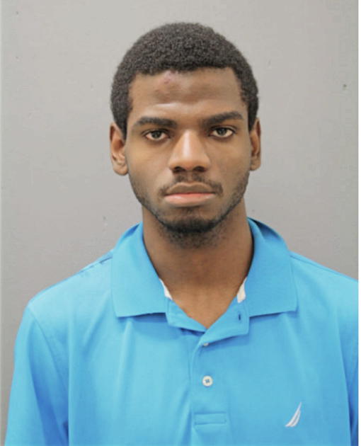 RAYVON D HAMILTON, Cook County, Illinois