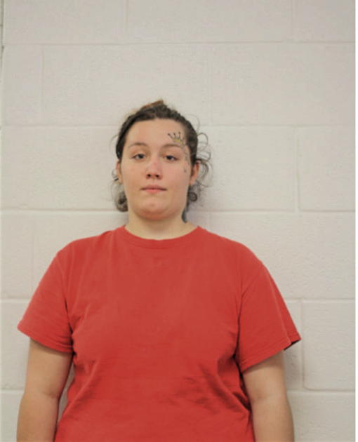 NICOLE KATHERINE HIGGINS, Cook County, Illinois