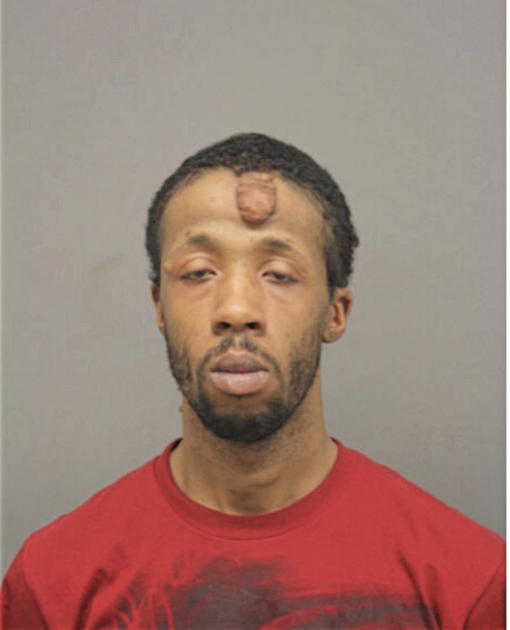 LIJUAN GOMEZ JOHNSON, Cook County, Illinois