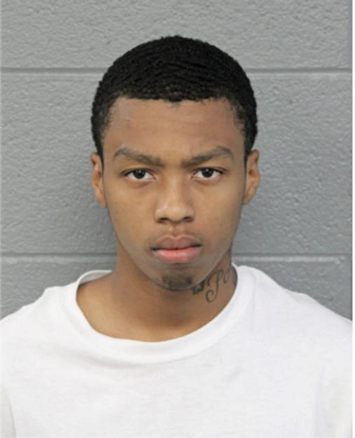 JUSTIN T MCGHEE, Cook County, Illinois