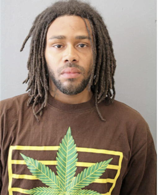 DARIUS D MOSES, Cook County, Illinois