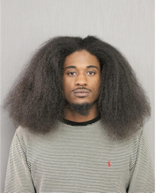 KARIEM J NEWSOME, Cook County, Illinois