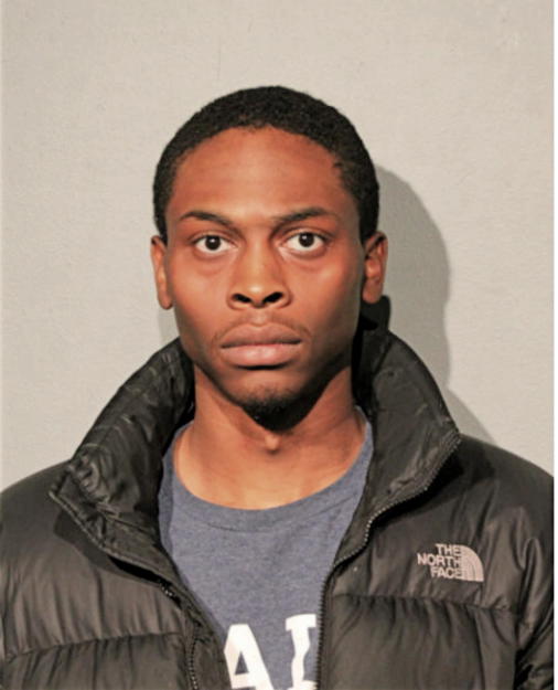 BABAFEMI A ODUGBESAN, Cook County, Illinois