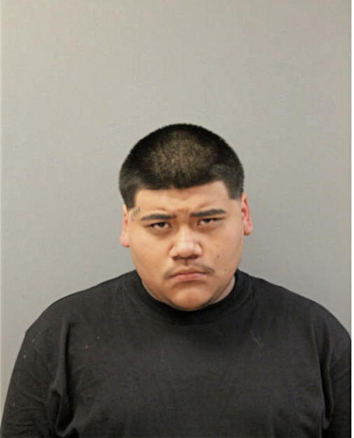 DAMIAN REYES, Cook County, Illinois