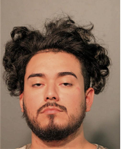 OSCAR A SAMAYOA, Cook County, Illinois