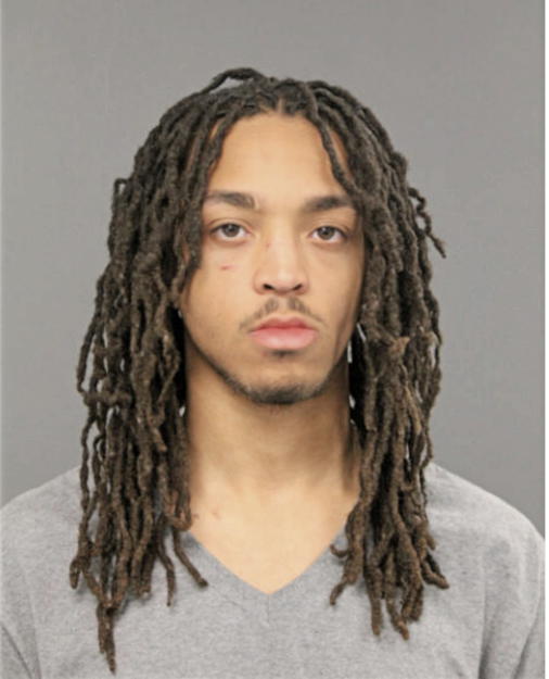 JORDAN B SHANE, Cook County, Illinois